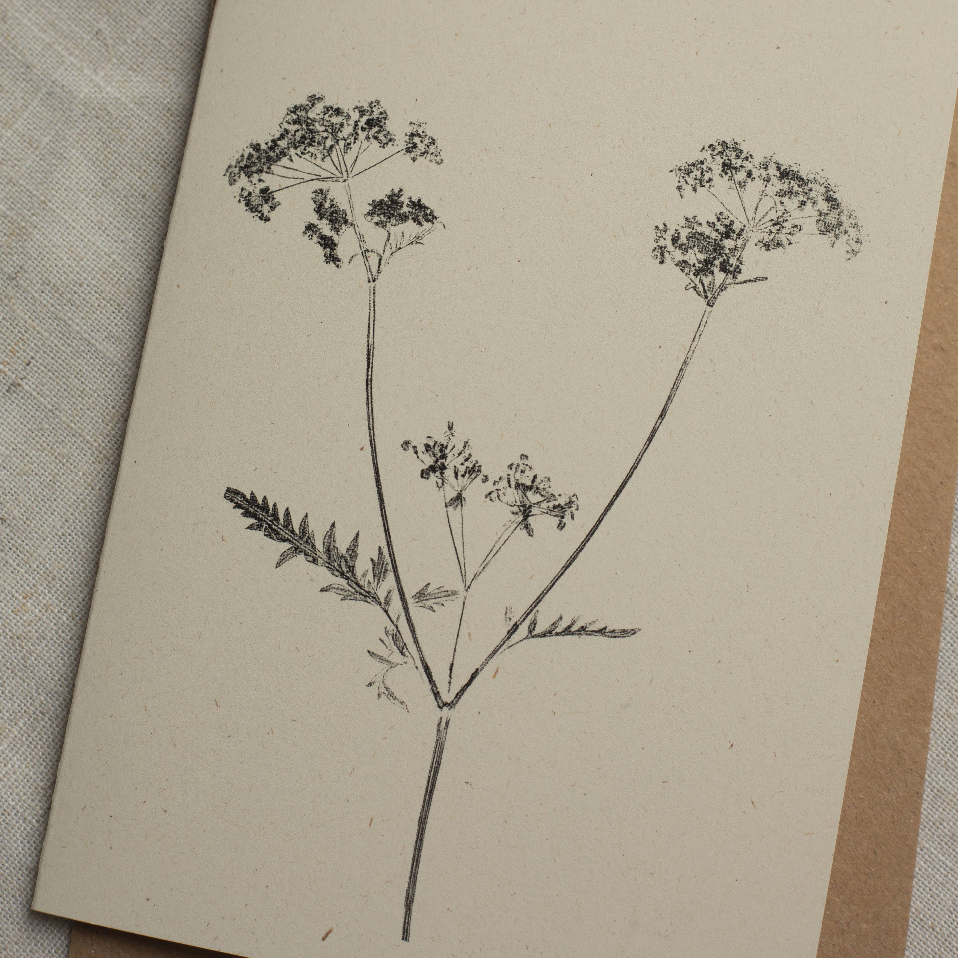 Cow Parsley Botanical Monoprint Card by Alicia Breakspear