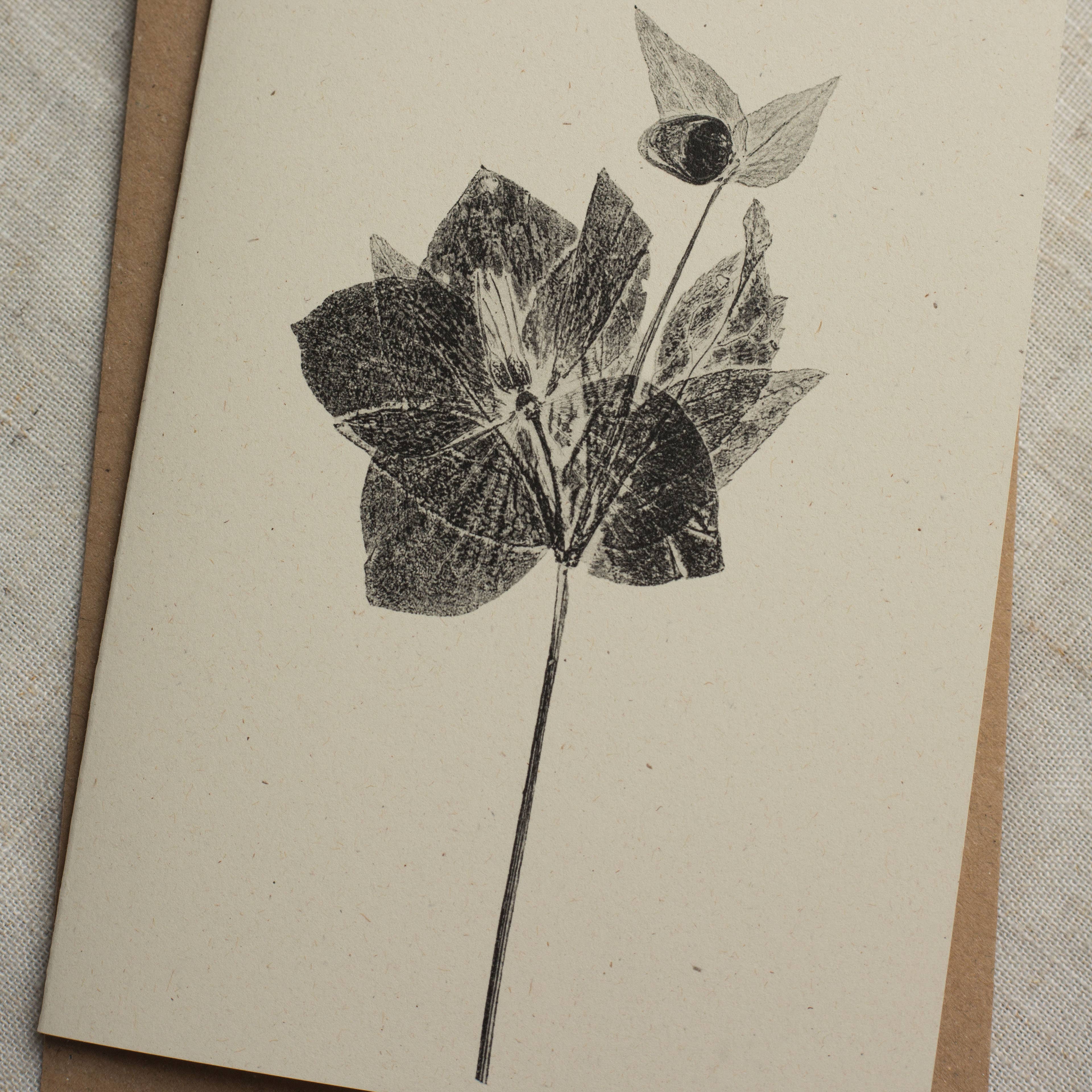 Hellebore Botanical Monoprint Card by Alicia Breakspear