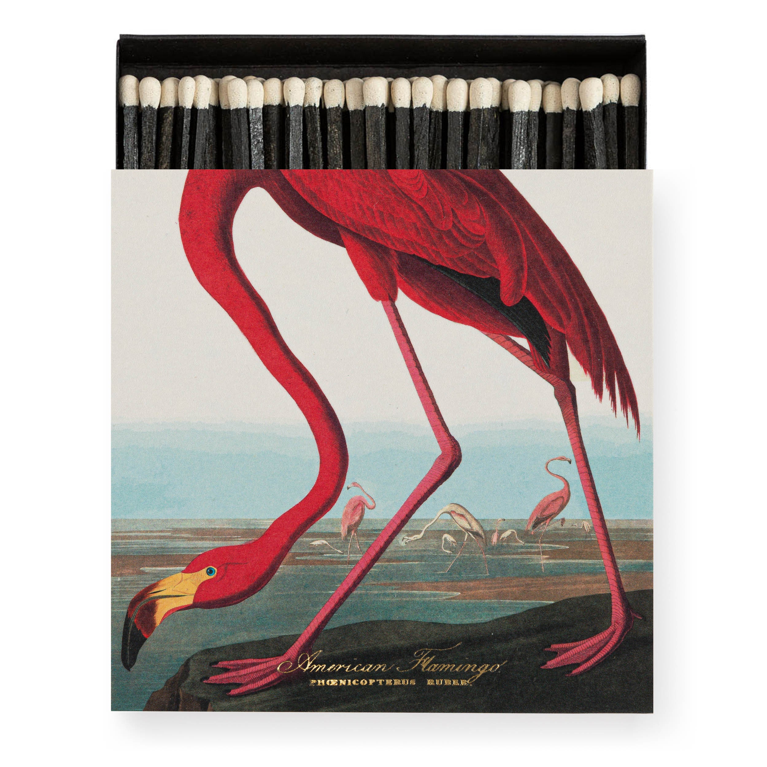 Long Matches - Square Box | The American Flamingo | by Archivist