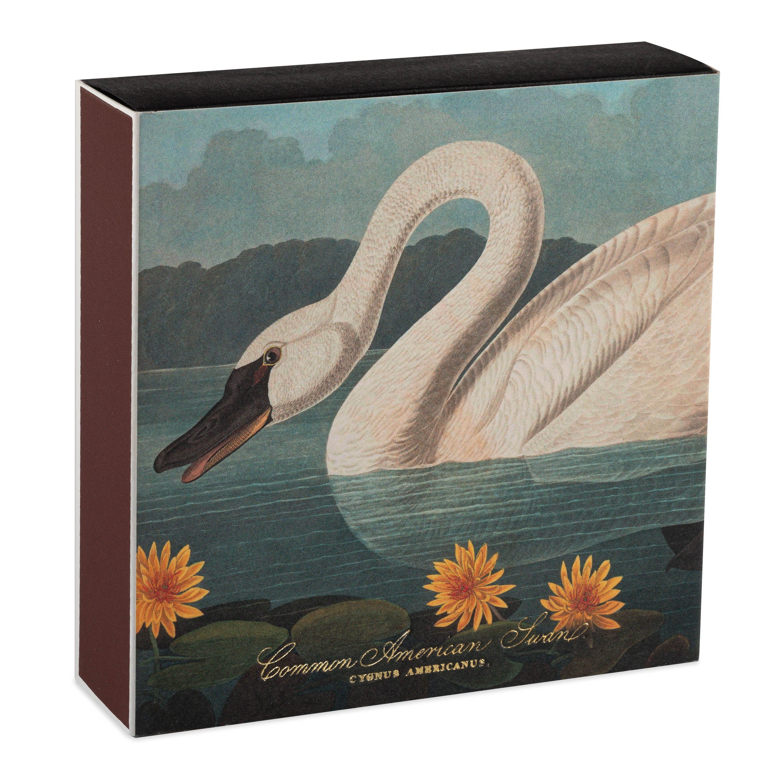 Long Matches - Square Box | The Common American Swan | by Archivist