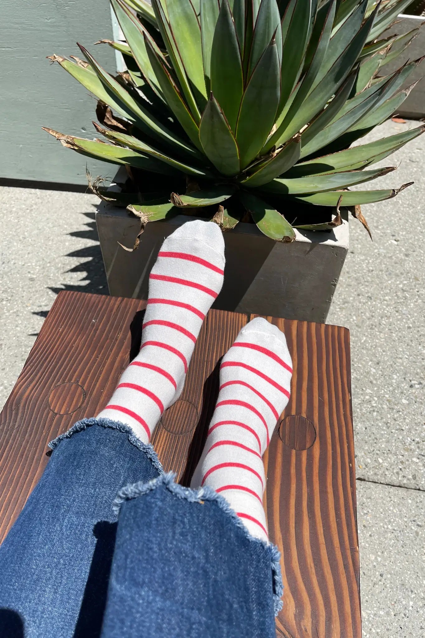 Wally Socks | Candy Cane | by Le Bon Shoppe - Lifestory