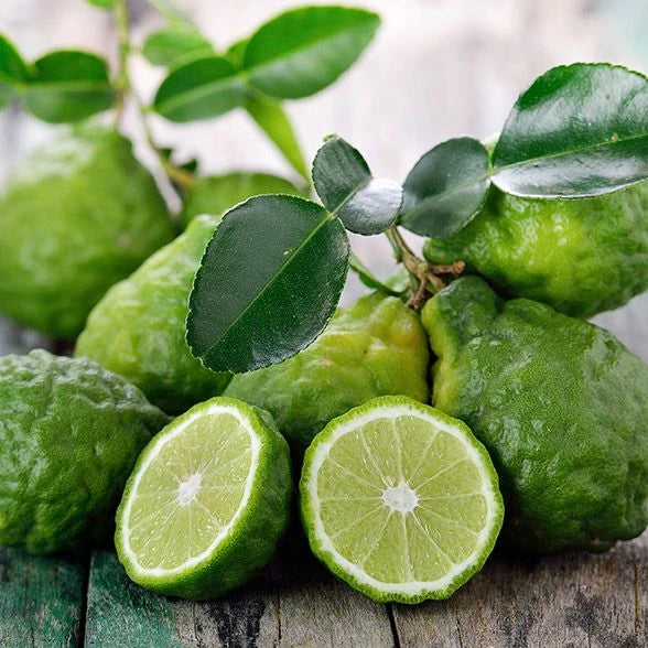 Bergamot citrus fruit and foliage