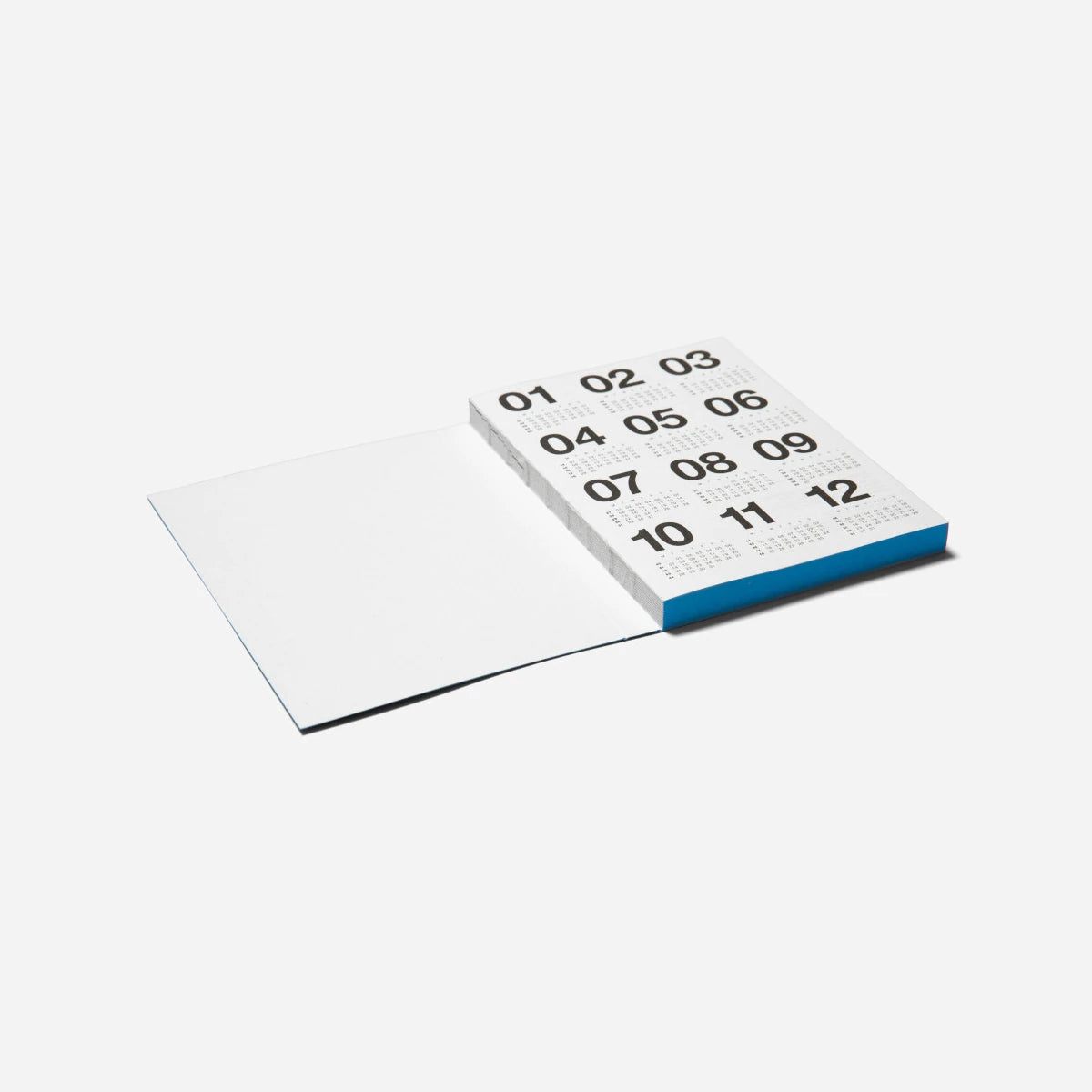 2025 Basic planner 292 in blue by Marjolein Delhaas | Lifestory