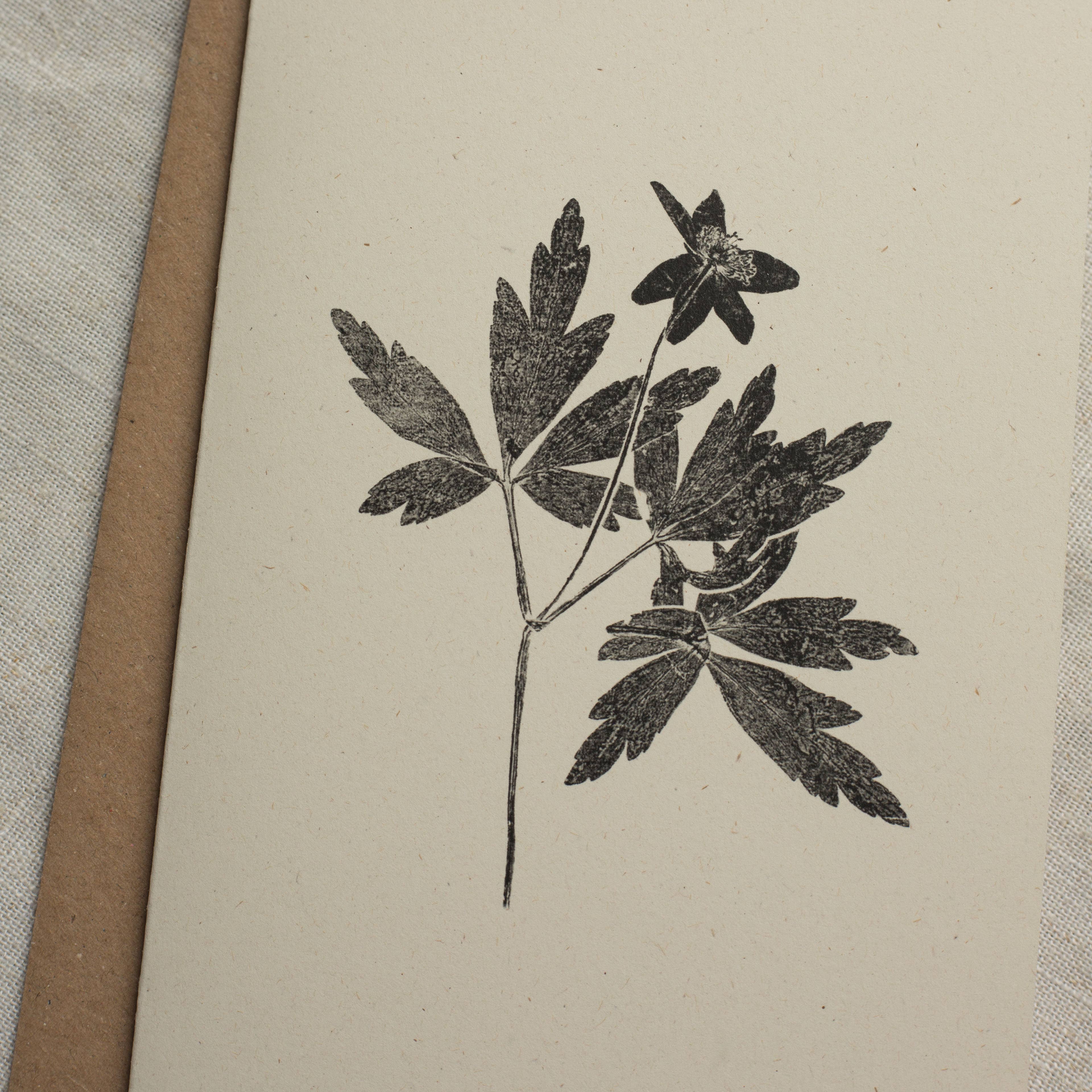 Wood Anemone Botanical Monoprint Card by Alicia Breakspear