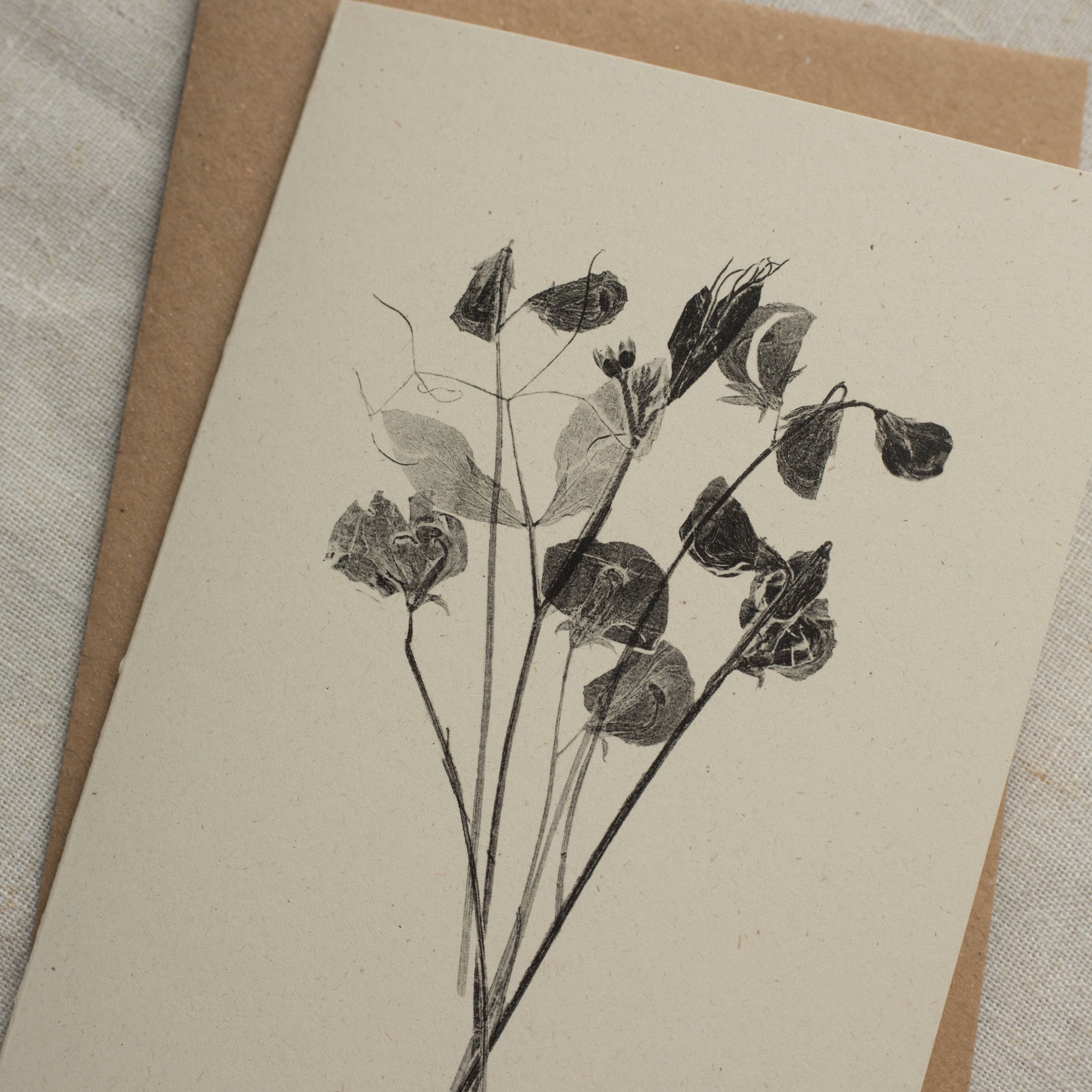 Sweet Peas Botanical Monoprint Card by Alicia Breakspear