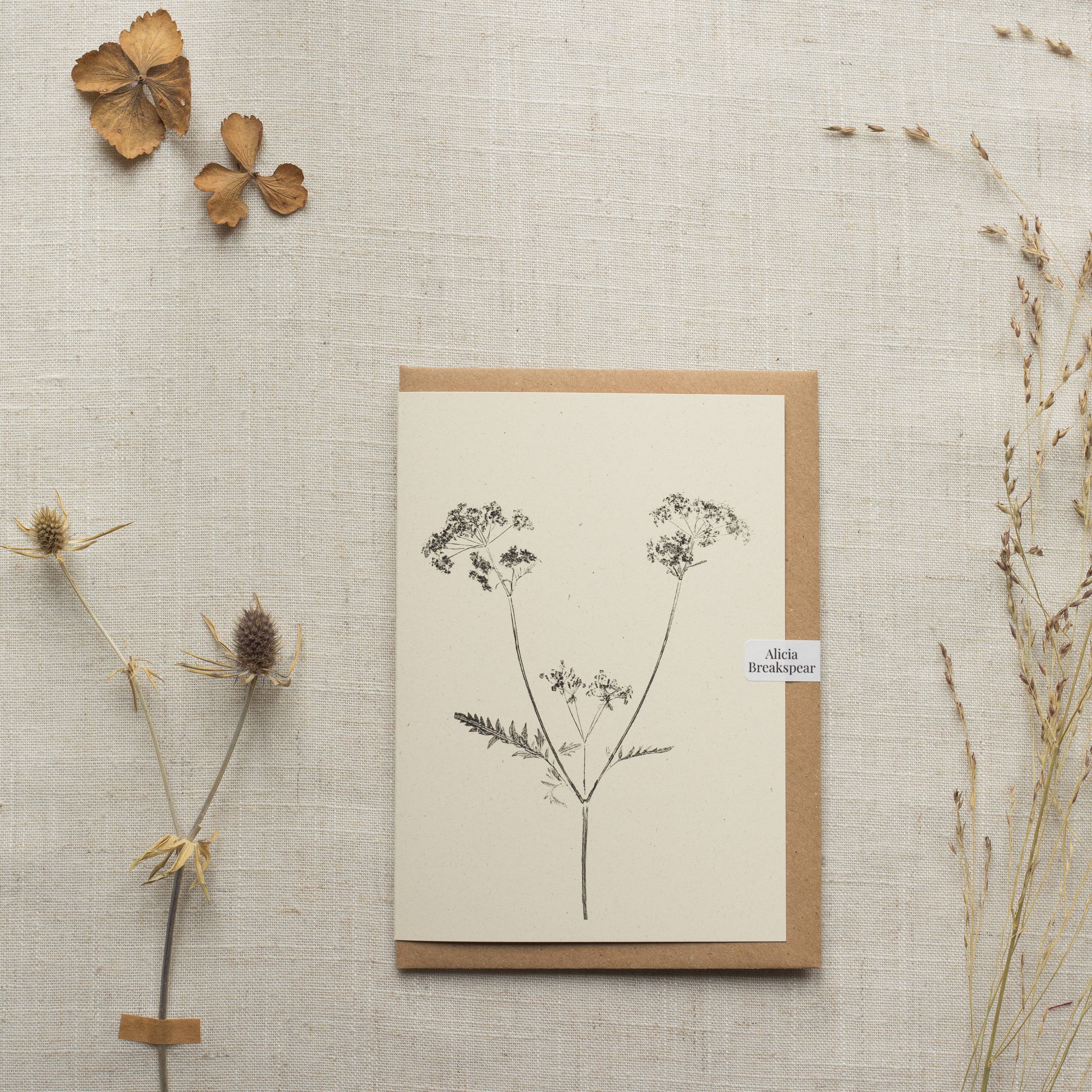 Cow Parsley Botanical Monoprint Card by Alicia Breakspear