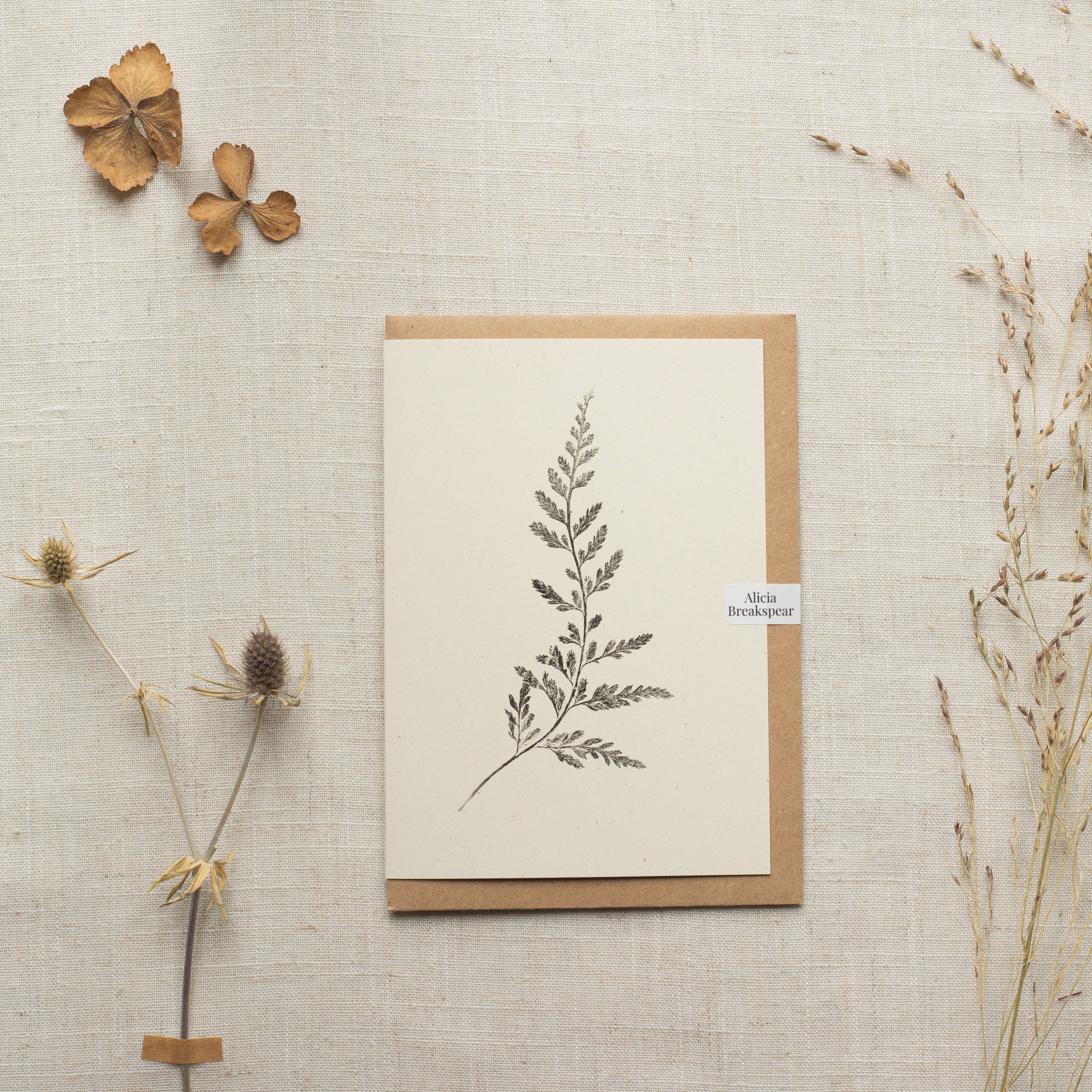 Spleenwort Fern Botanical Monoprint Card by Alicia Breakspear