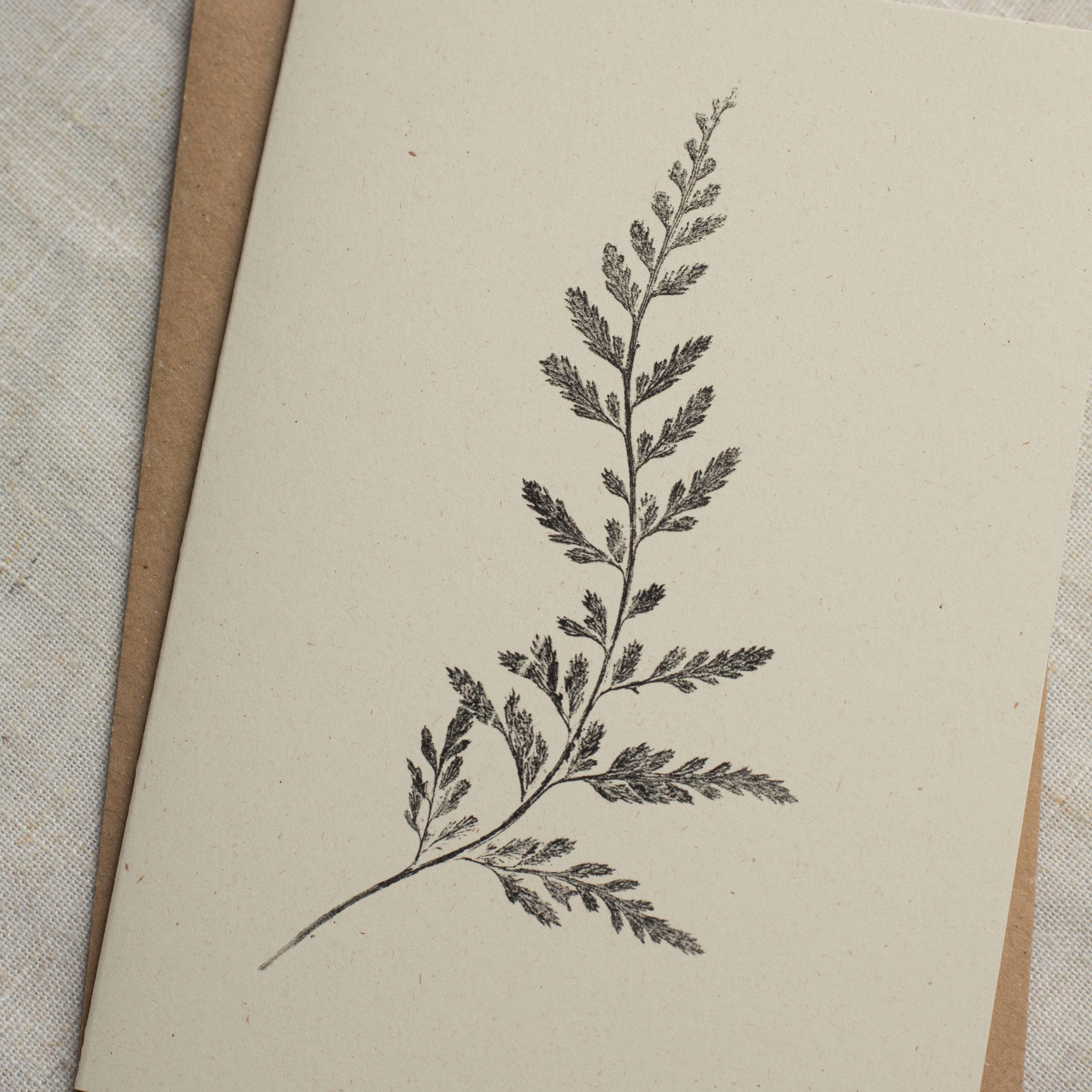 Spleenwort Fern Botanical Monoprint Card by Alicia Breakspear