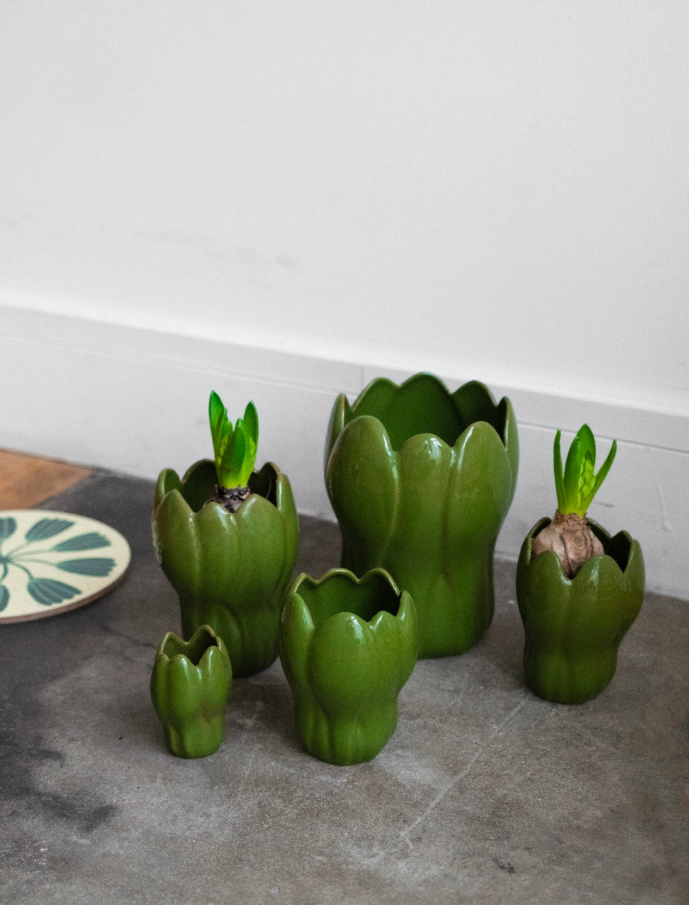 Krokus Green Vase Family with bulbs by Fine Little Day at Lifestory